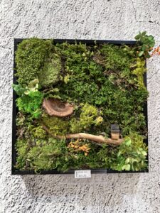A preserved moss art design displayed in a sleek black frame, featuring lush green moss arranged in an artistic pattern.