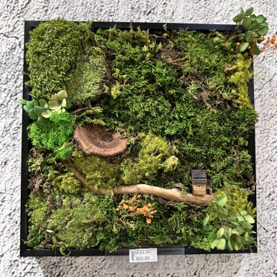 A preserved moss art design displayed in a sleek black frame, featuring lush green moss arranged in an artistic pattern.